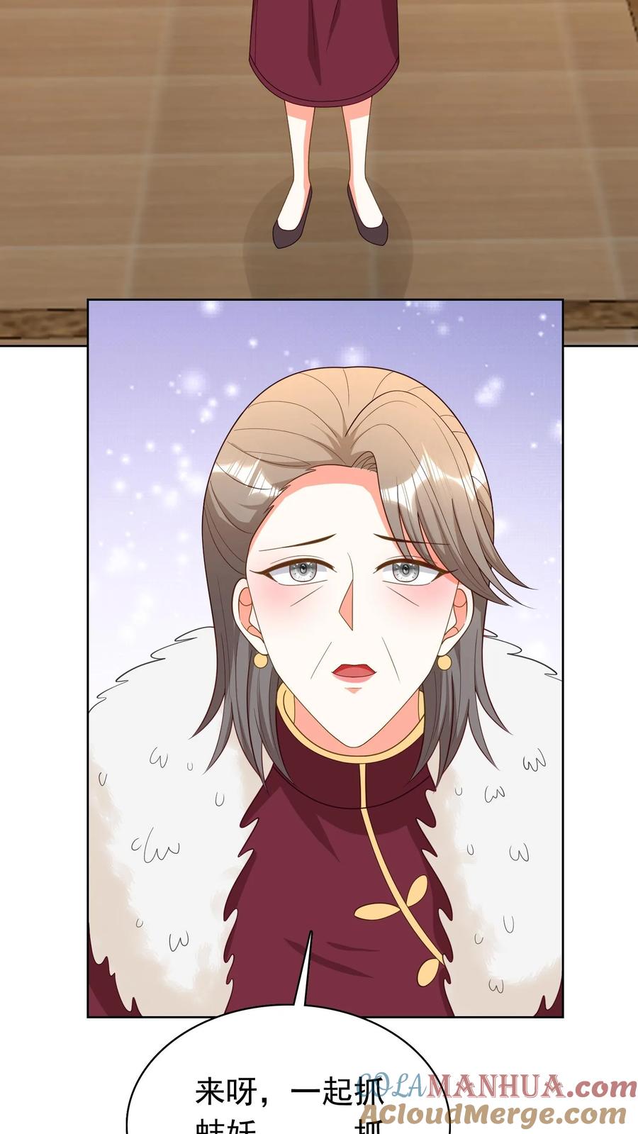 宫先生，你家三宝抄家了 - 第112话 司马慧兰疯了 - 第5张图