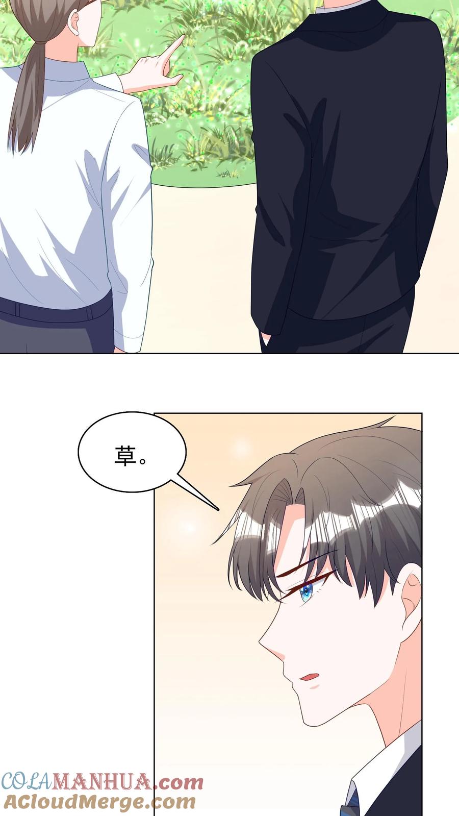 宫先生，你家三宝抄家了 - 第249话 “草”一种植物 - 第15张图