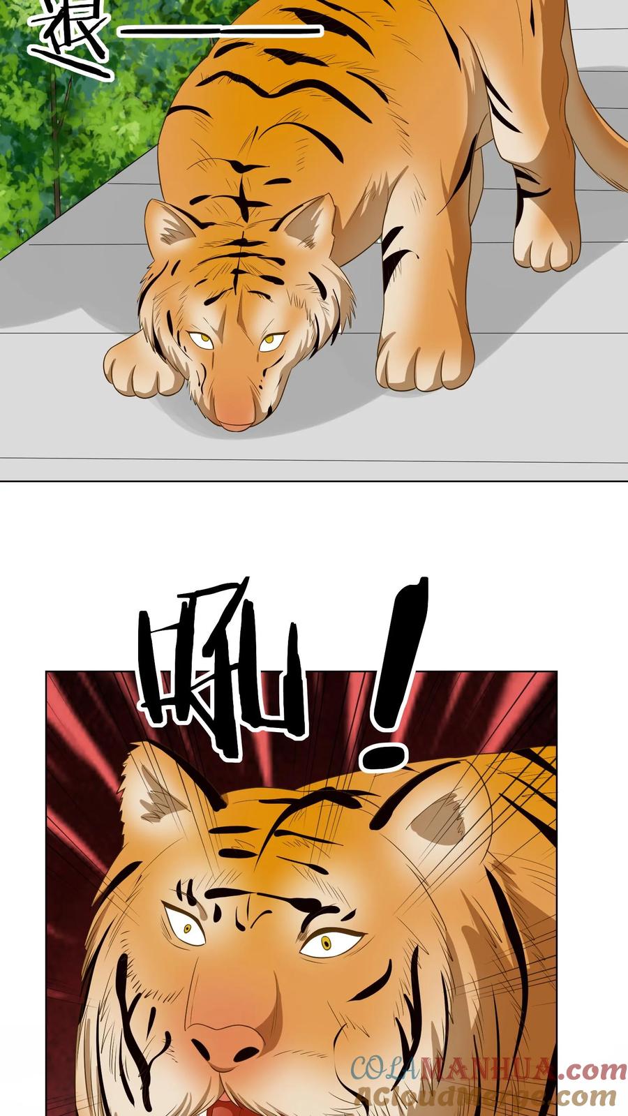 宫先生，你家三宝抄家了 - 第91话 大战老虎 - 第25张图