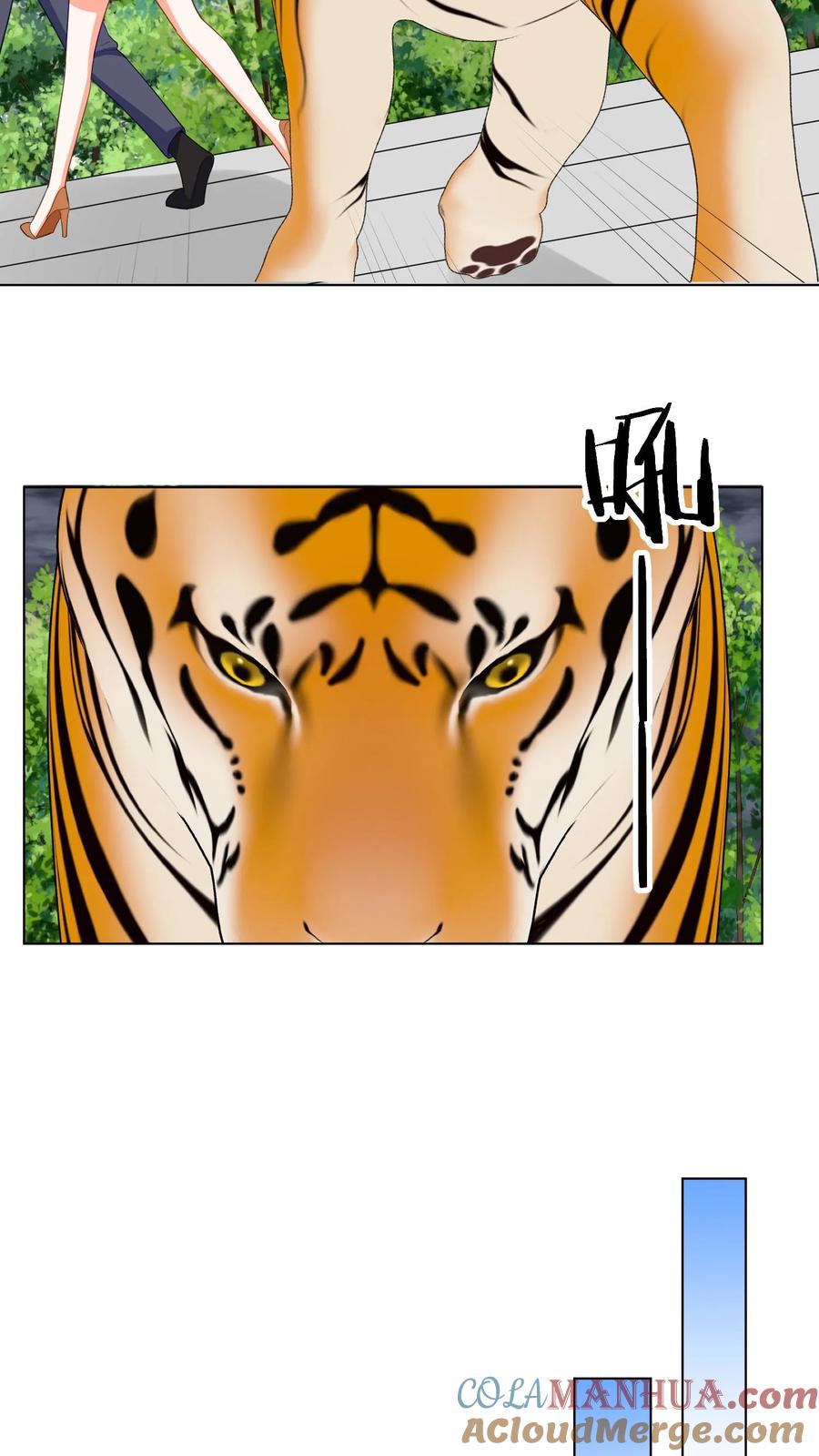 宫先生，你家三宝抄家了 - 第91话 大战老虎 - 第15张图