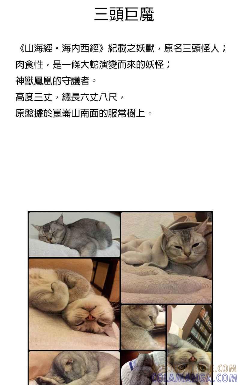 猫剑客 [第3话] 猞猁 第29页