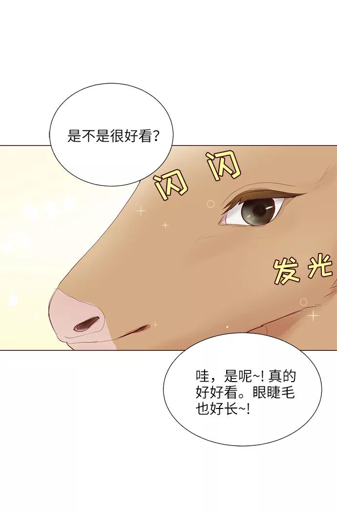 《你还记得吗》第20话 第62页