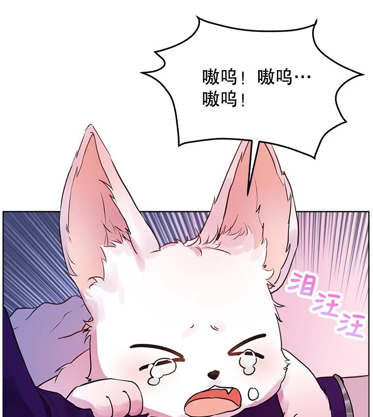 重生为神兽宝宝 - 1.重生成神兽 - 第93张图