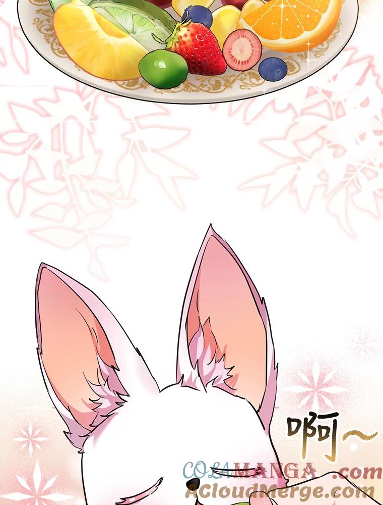 重生为神兽宝宝 - 2.人界 - 第34张图