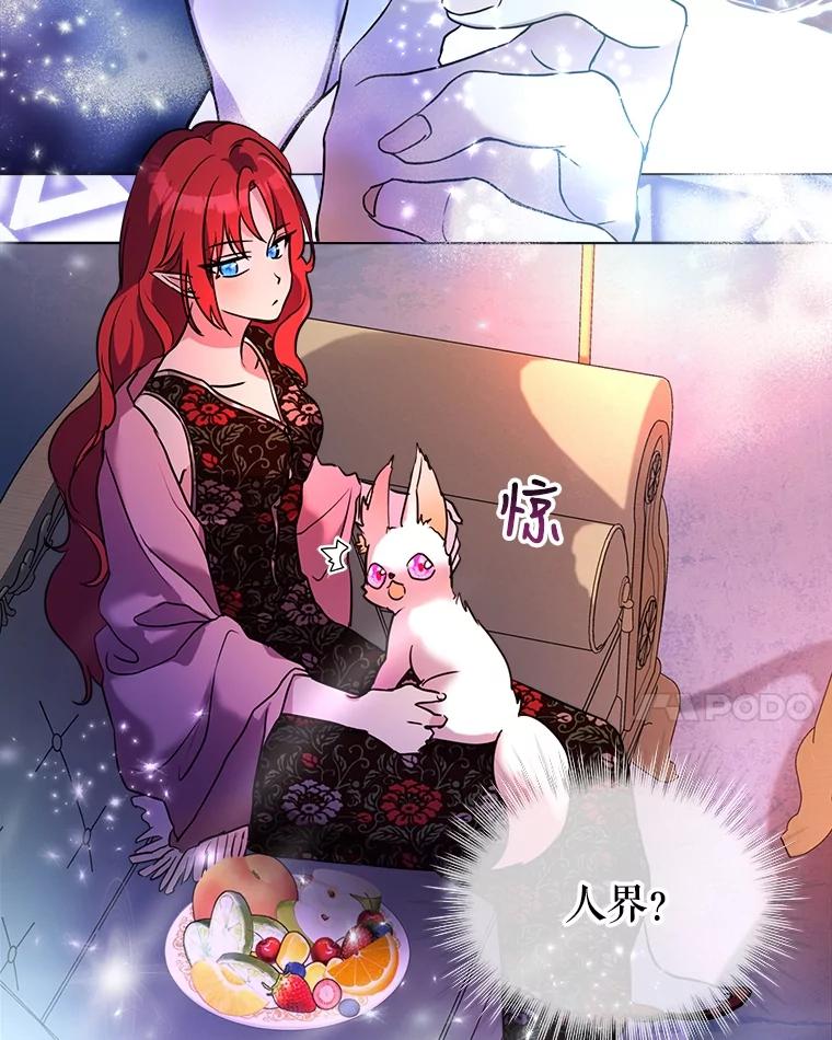 重生为神兽宝宝 - 2.人界 - 第38张图