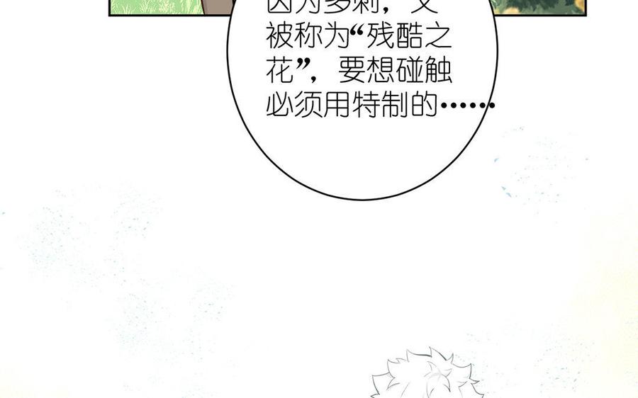 《公主战争》第8话 帝国的国花 第19页