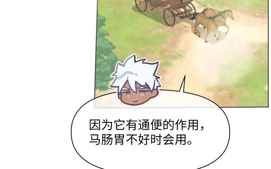 《公主战争》142话：落雪森林 第3页