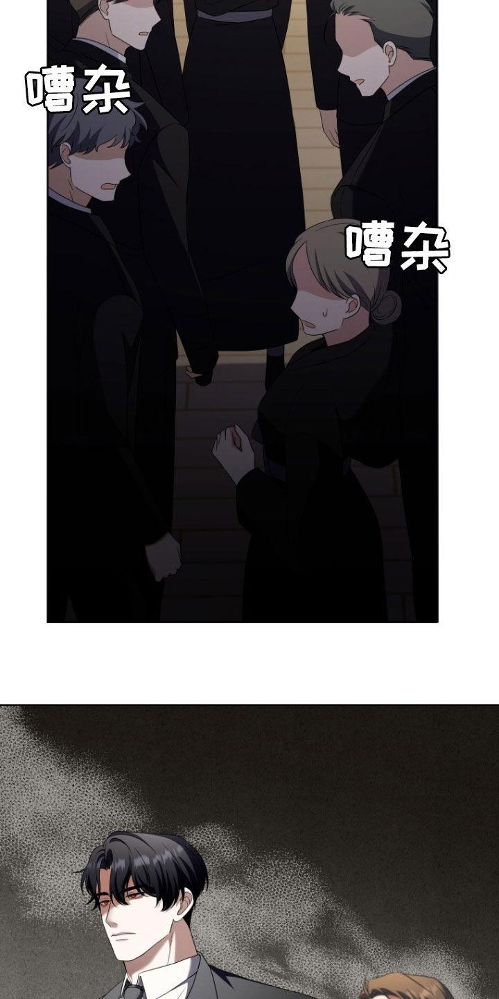 《双重血脉》第34章：更好奇了 第17页
