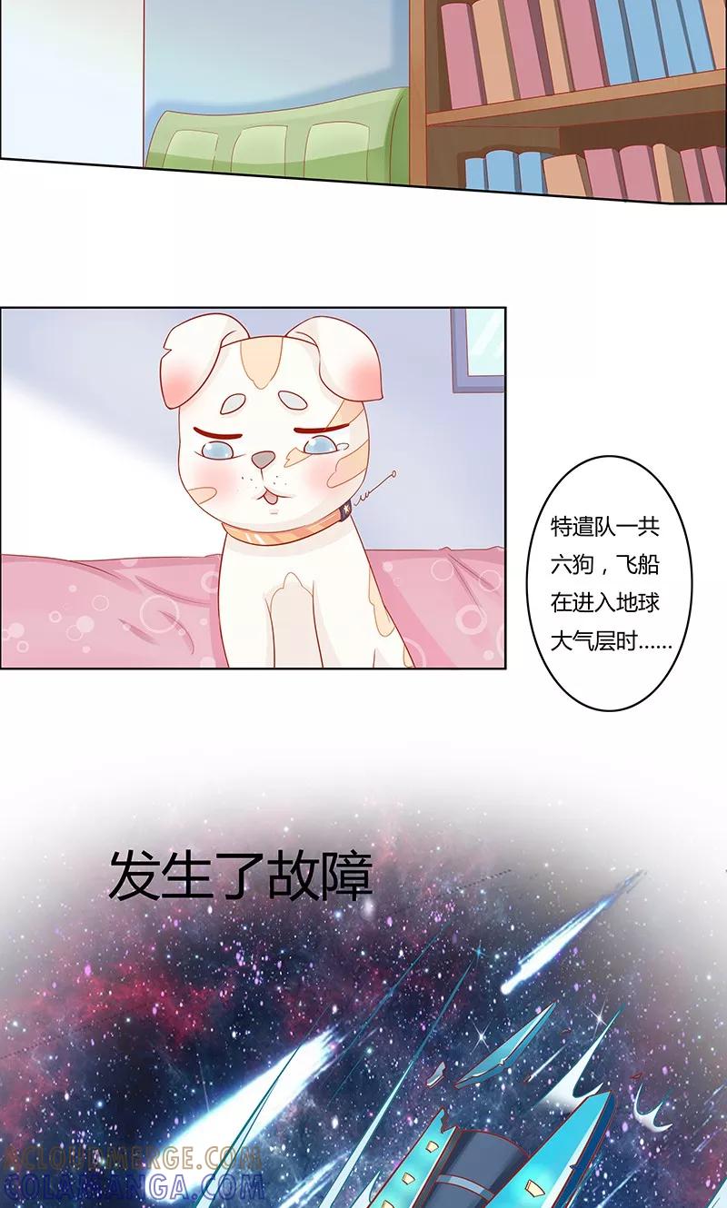 《狗粮好吃》第1话 第33页