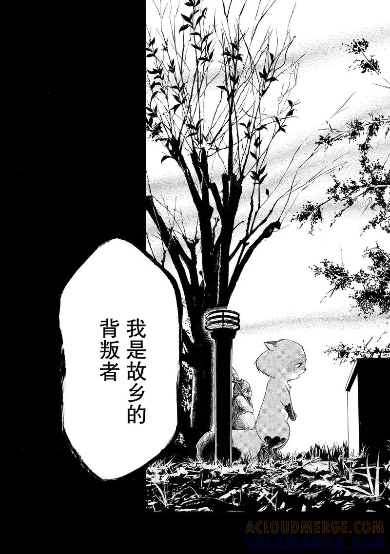 《狸公主的恋爱小九九》第11话 想要拥抱你真实的狸故事 第15页