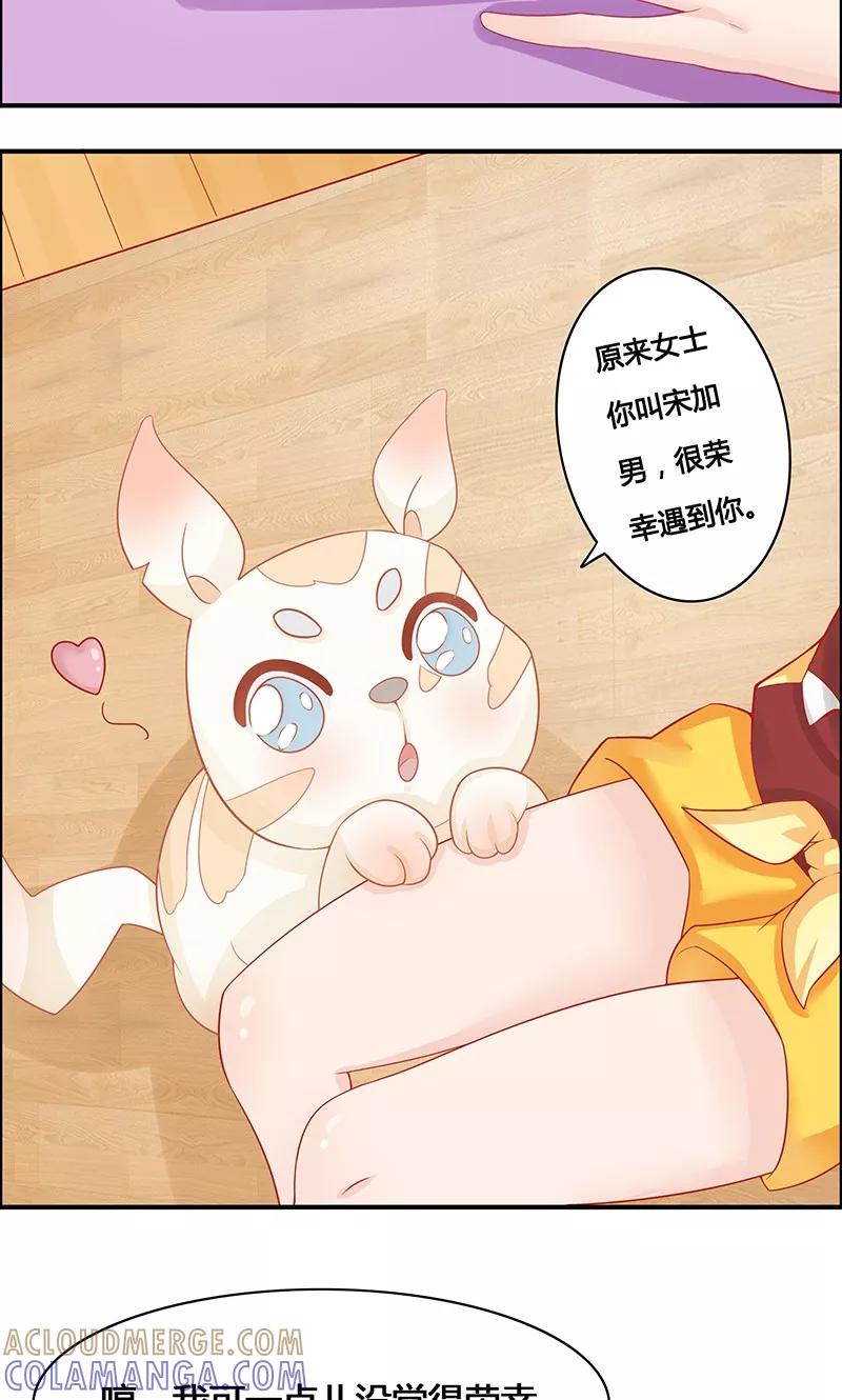 《狗粮好吃》第3话 第3页
