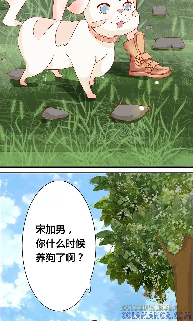 《狗粮好吃》第4话 第13页