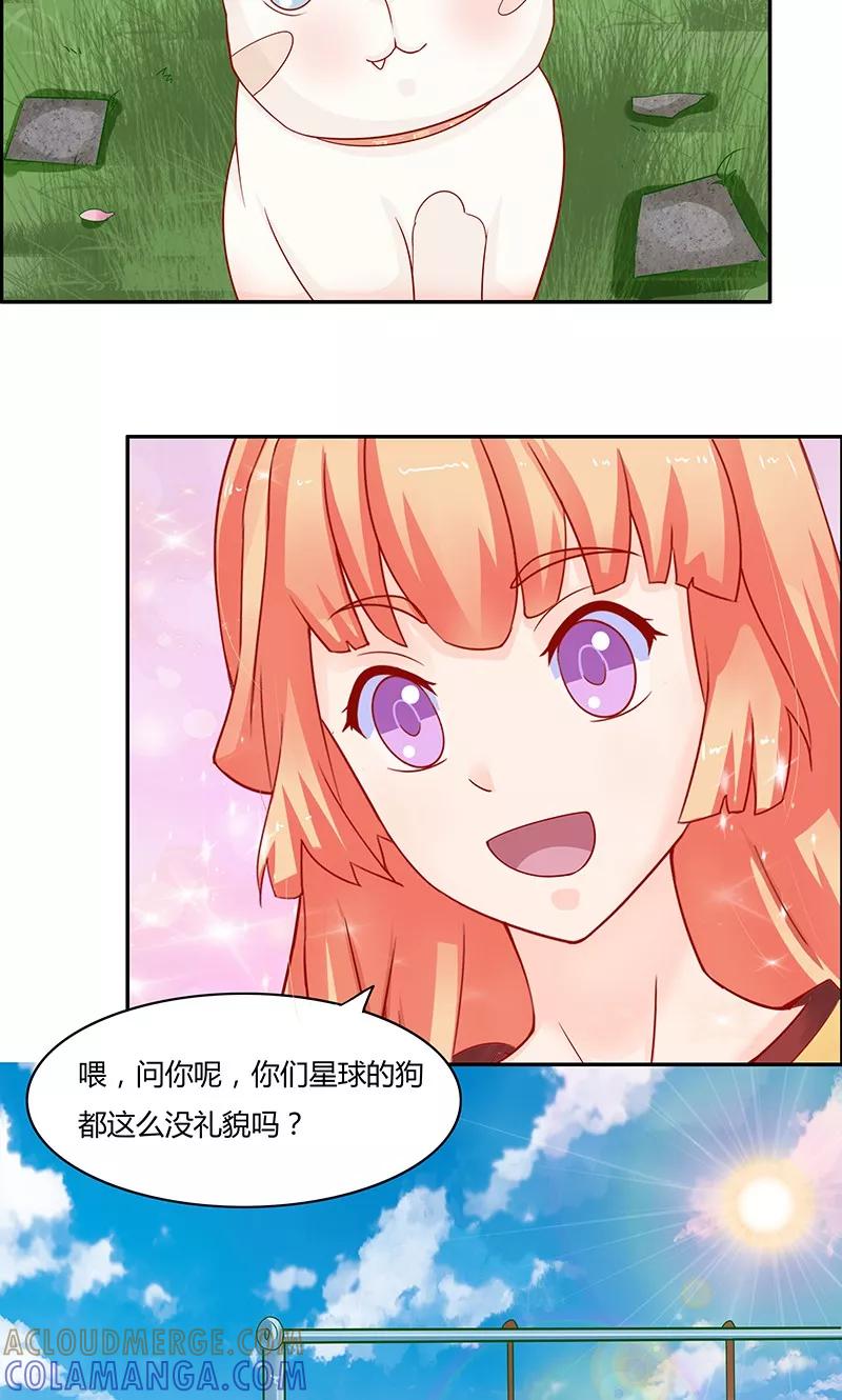 《狗粮好吃》第4话 第3页