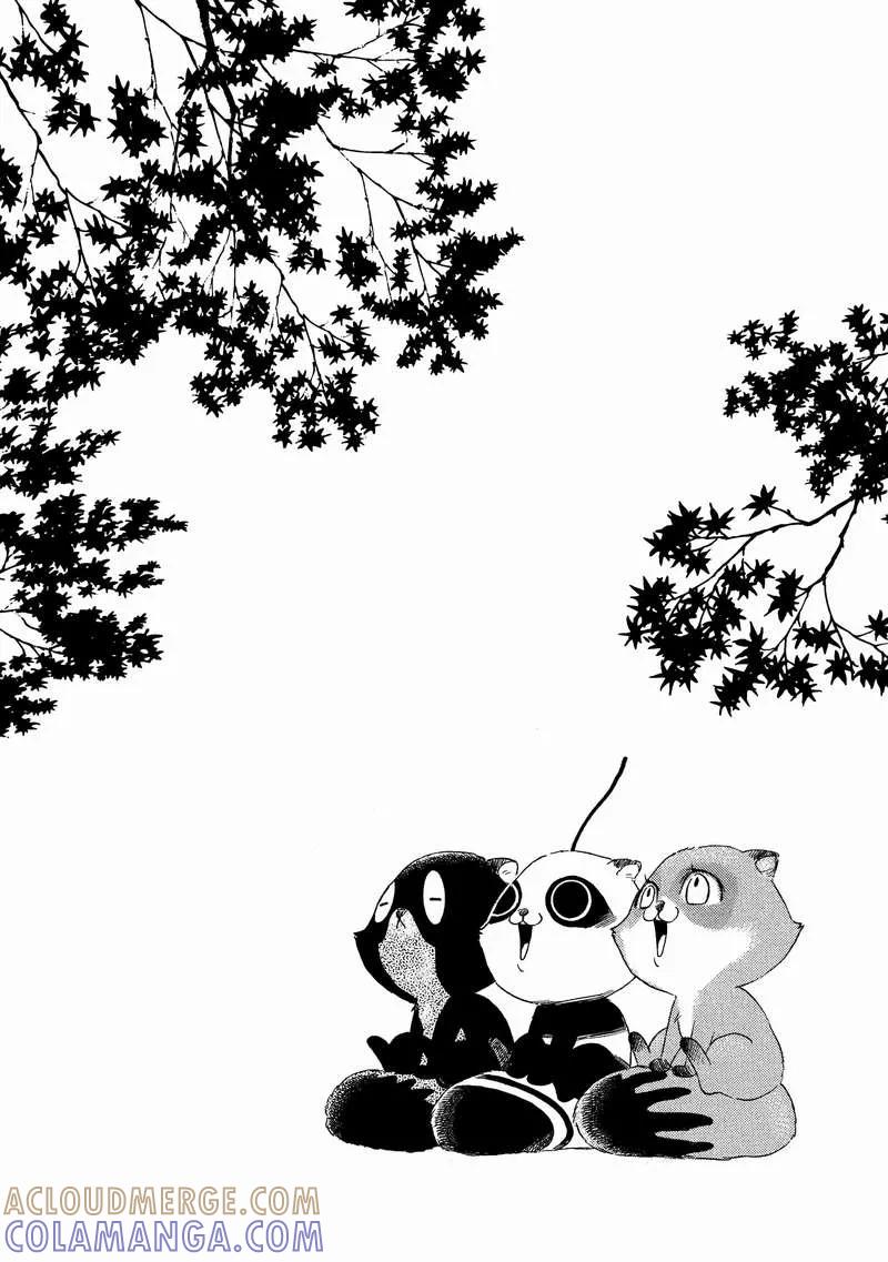 《狸公主的恋爱小九九》第9话 狸刺客 第3页
