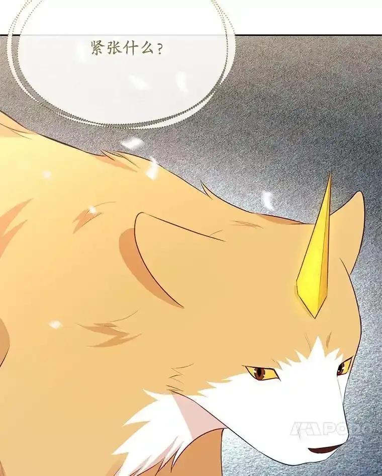 《小不点圣女大人》49.即位仪式 第35页
