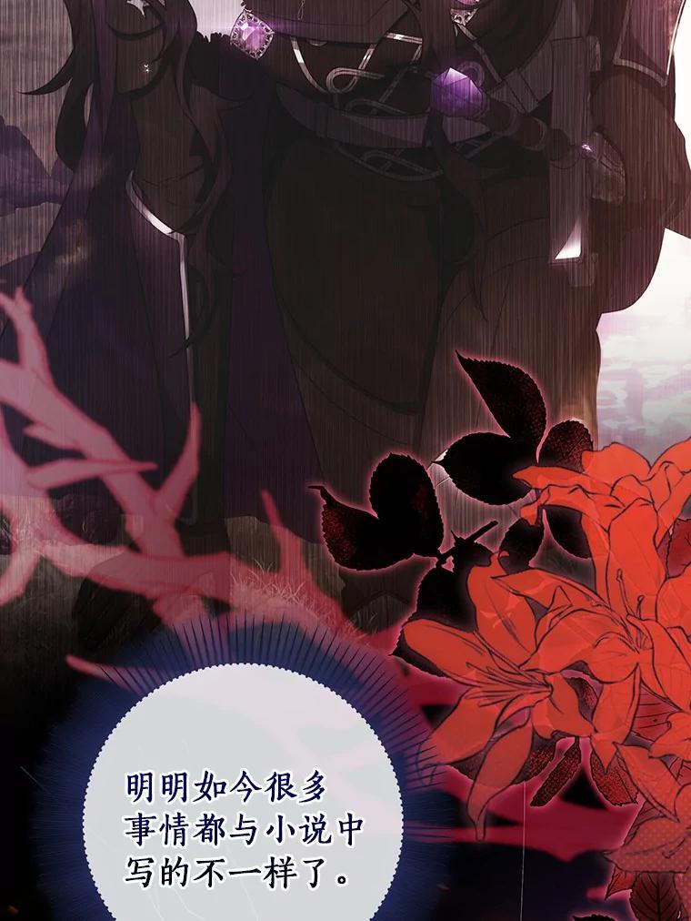 《成为主角的命定救星》111.就是魔王 第98页