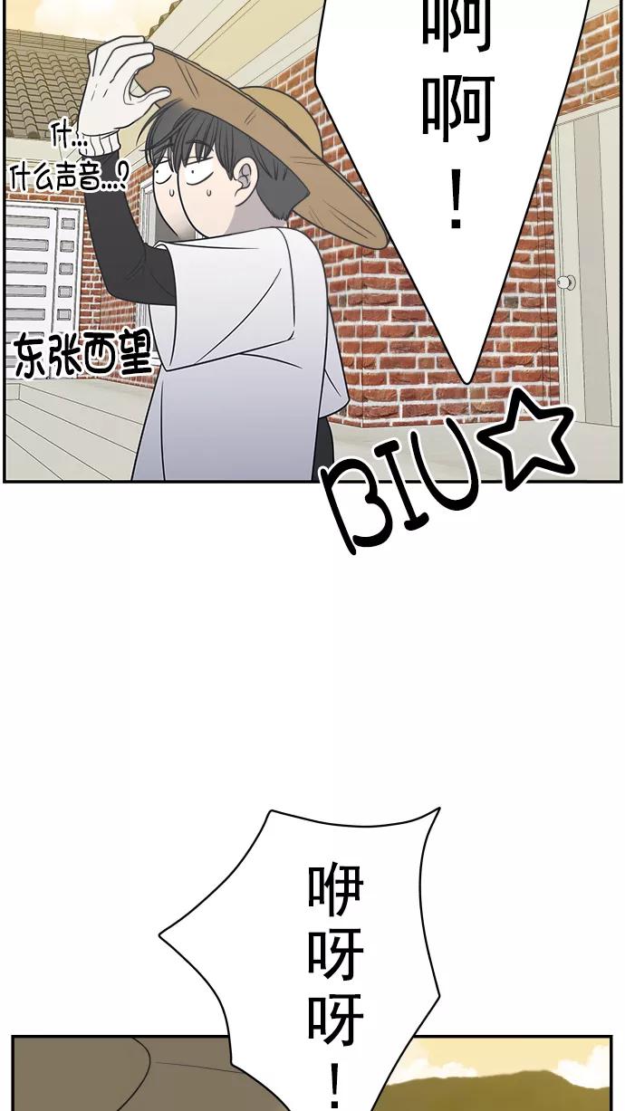 56.jpg