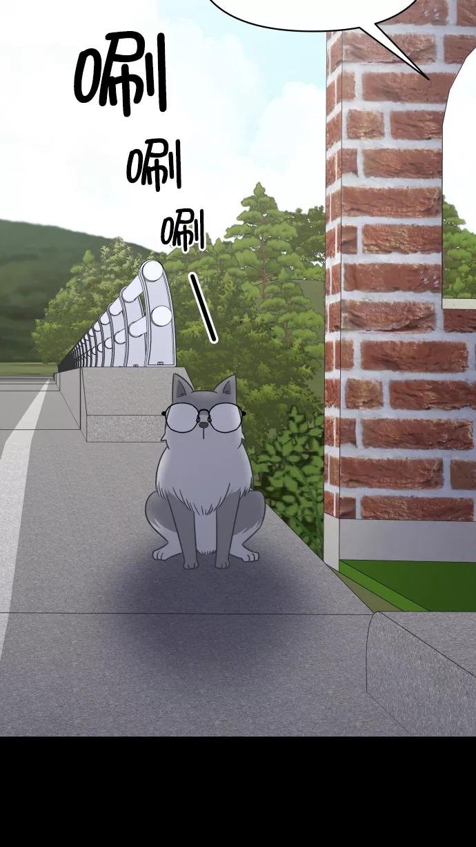68.jpg