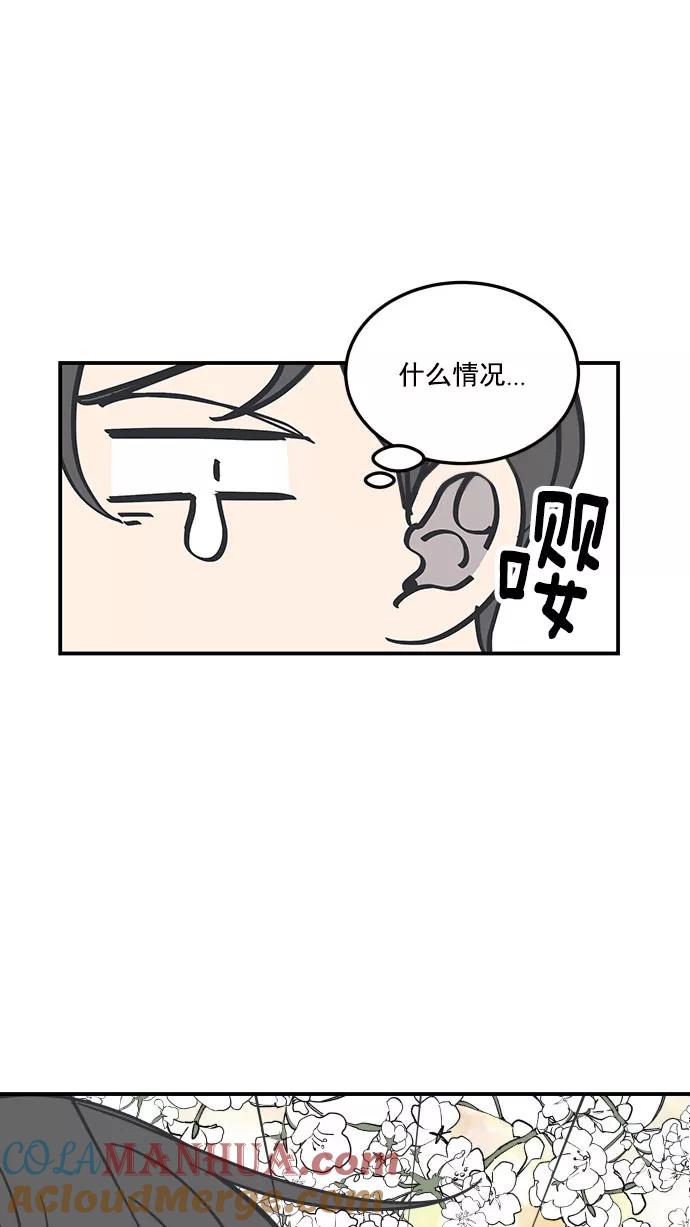 61.jpg