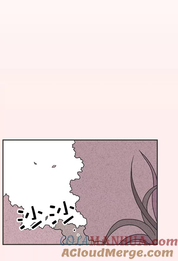 117.jpg