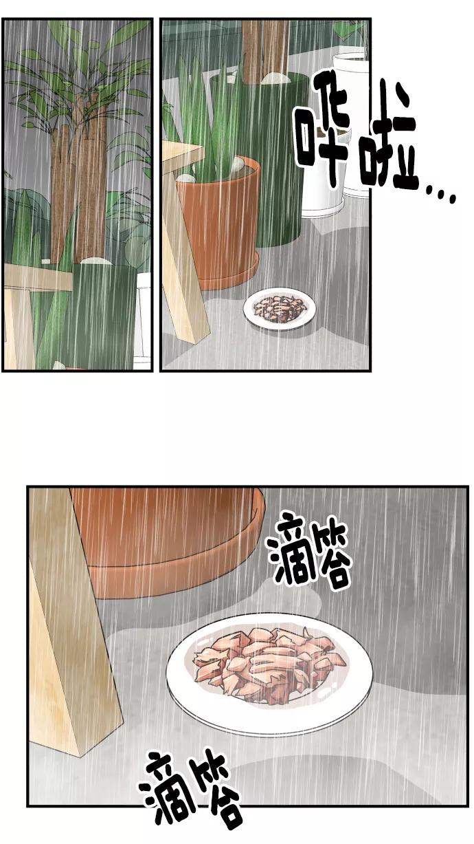 95.jpg
