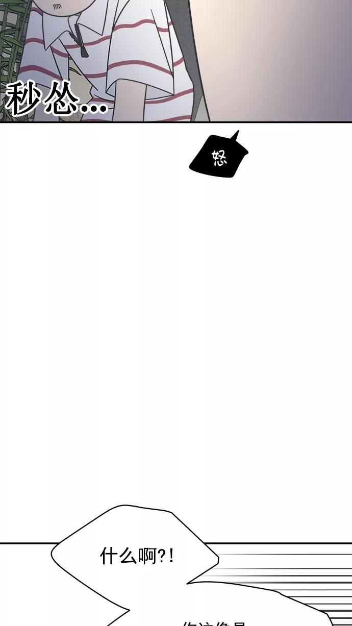 81.jpg