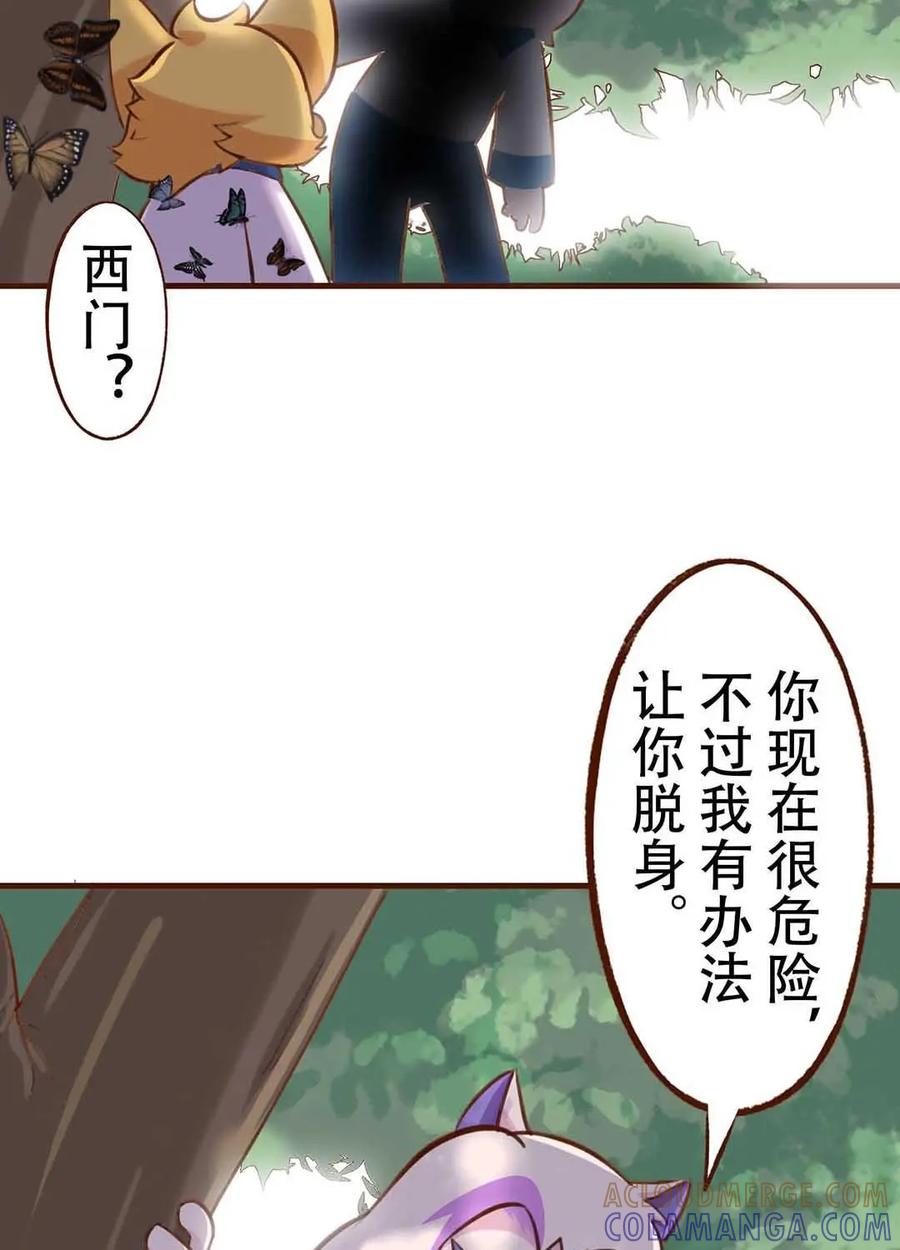 《京剧猫喵日常》第185话：拥抱！抓不住的蝴蝶 上 第13页