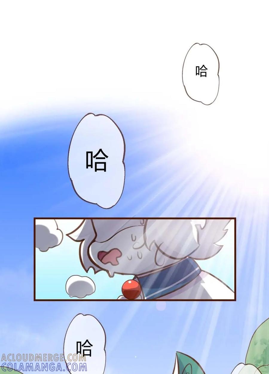 《京剧猫喵日常》第187话：马拉松！奔跑的方向 第2页