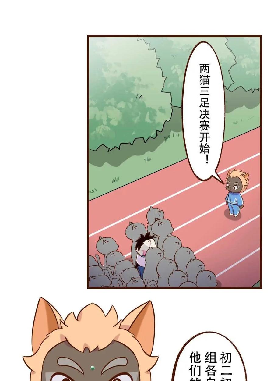 《京剧猫喵日常》第189话：合作！两猫三足 第2页