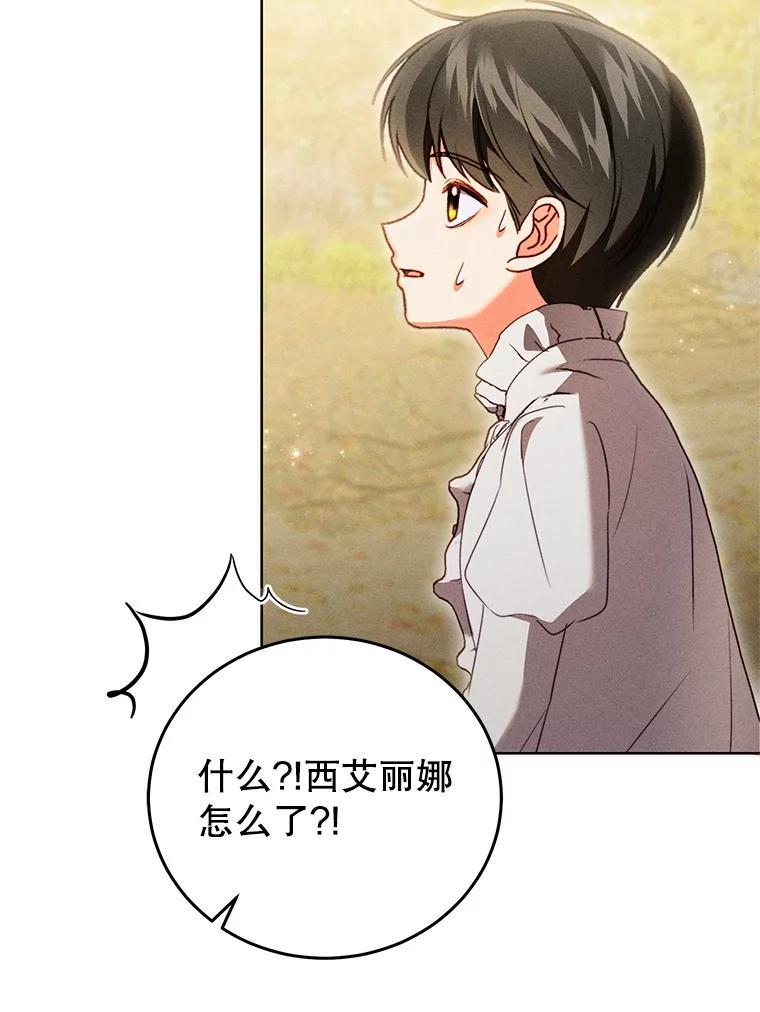 《成为被诅咒的公爵家的女主人》48.世温登场 第95页