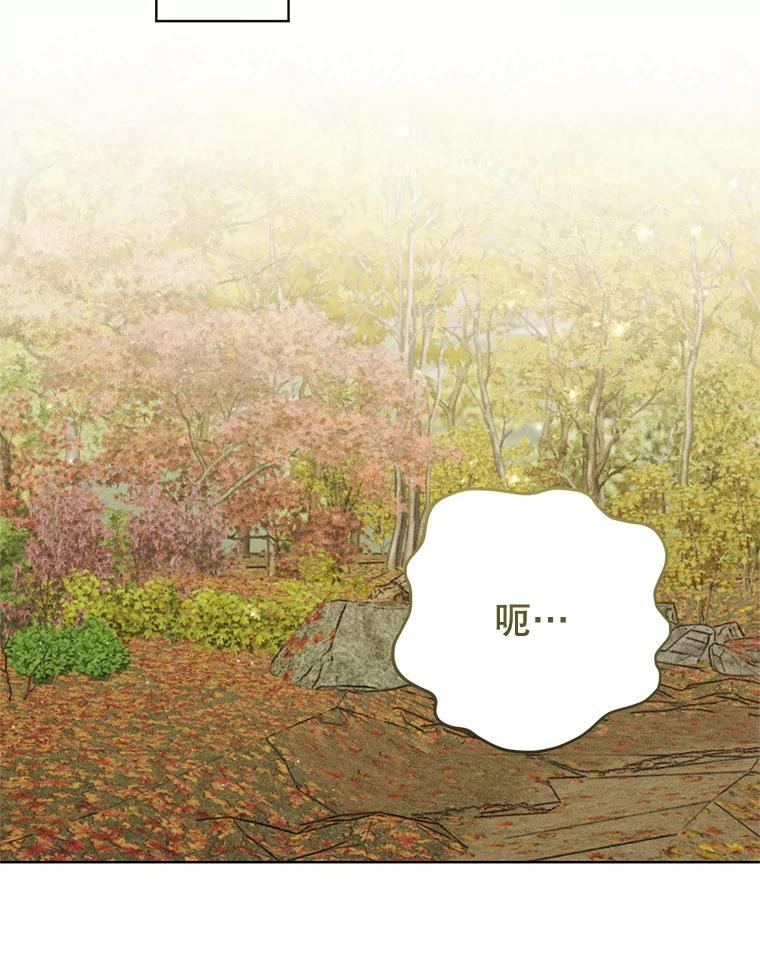 《成为被诅咒的公爵家的女主人》48.世温登场 第82页