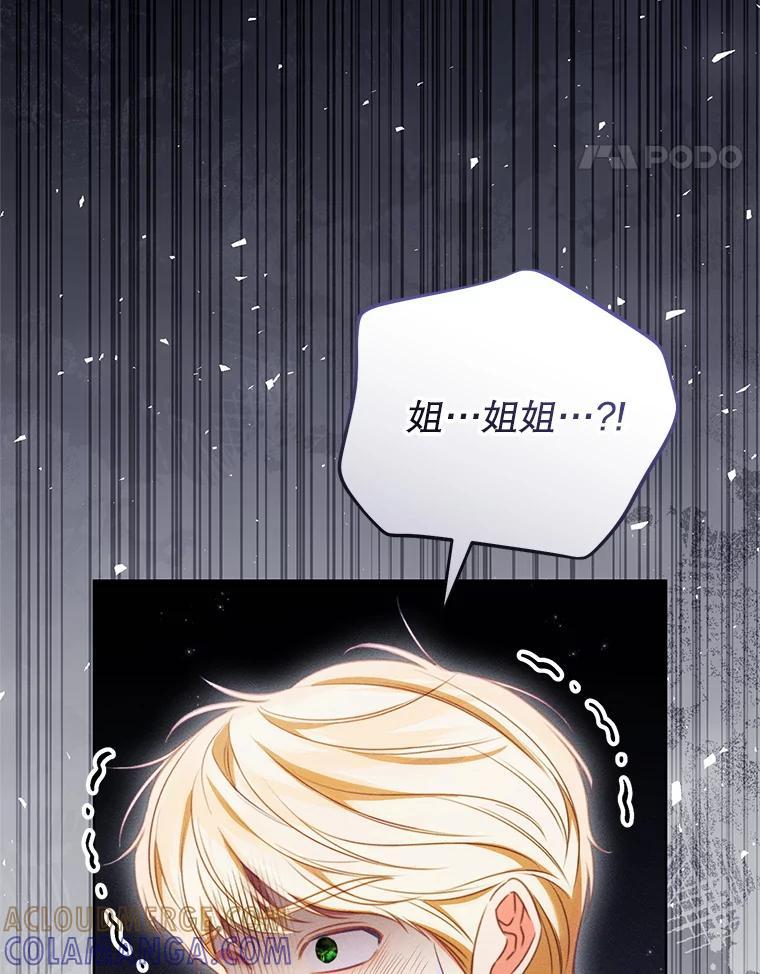 《成为被诅咒的公爵家的女主人》50.中毒 第37页