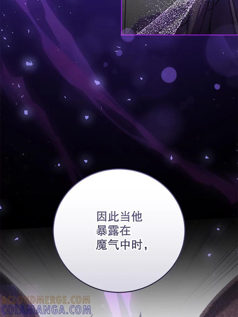 《成为被诅咒的公爵家的女主人》53.解毒 第9页