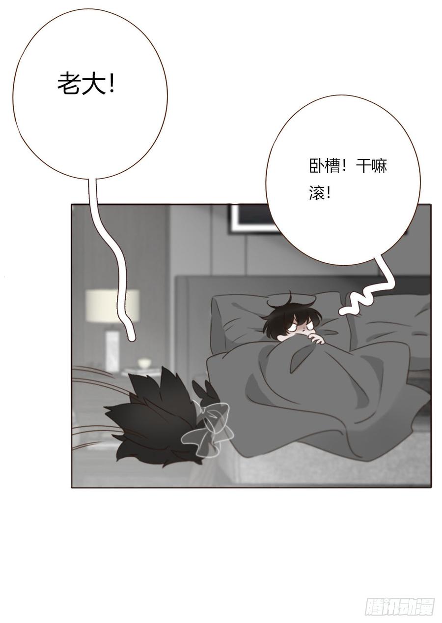 拥然入怀 一七四章 千岩身上的秘密2 第22页