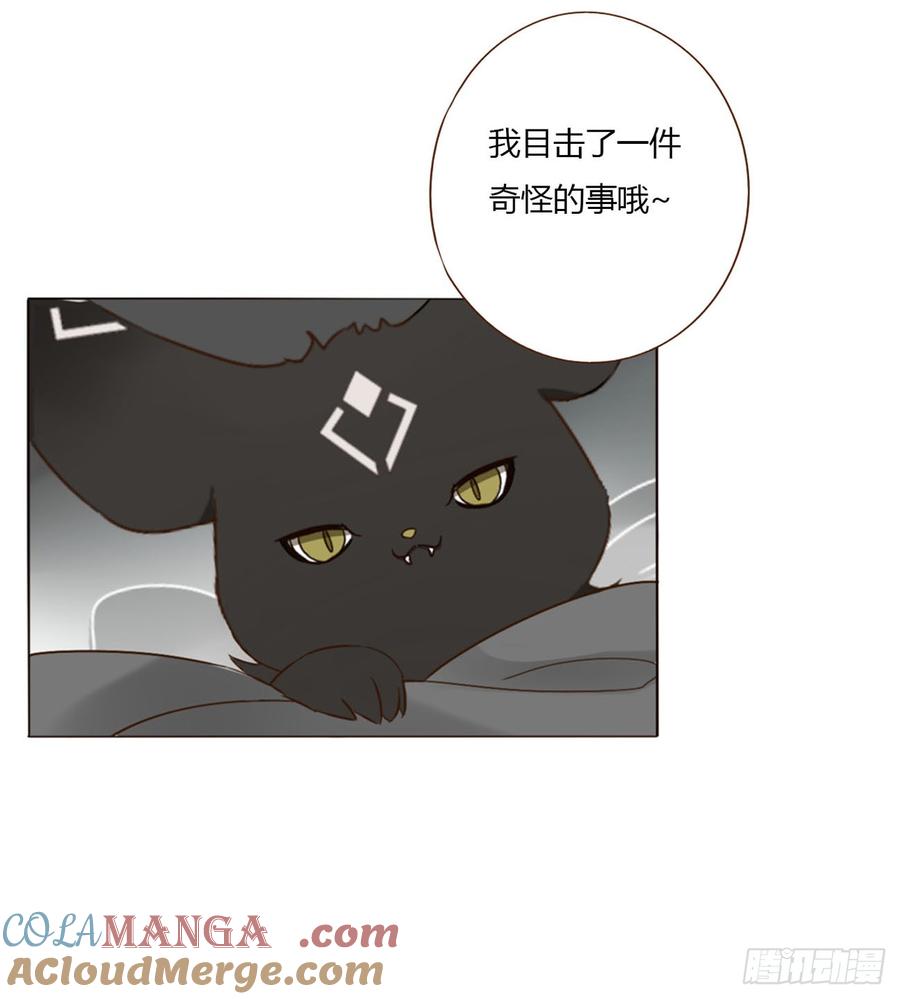 拥然入怀 一七四章 千岩身上的秘密2 第23页