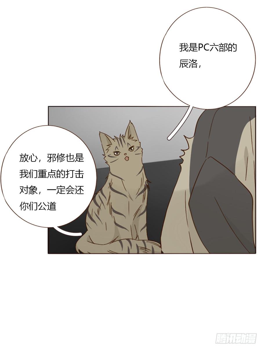 拥然入怀 一七四章 千岩身上的秘密2 第8页