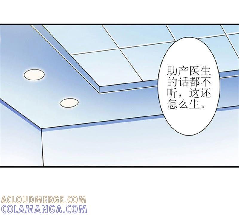《误入婚途：叛逆娇妻不好惹》工具 第13页