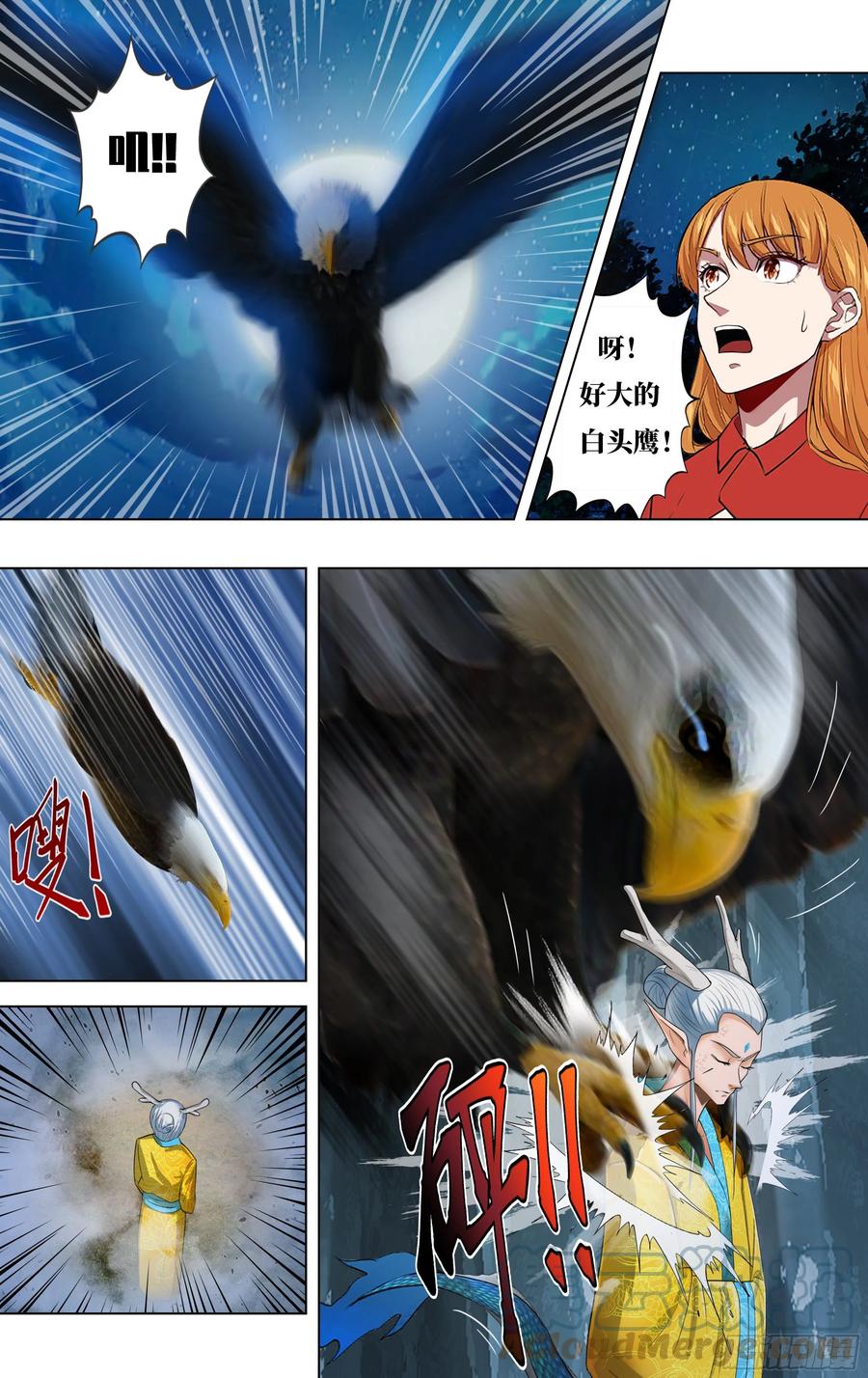 11.jpg