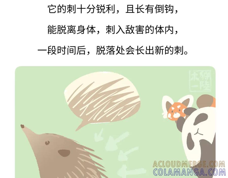 《胖达x胖达》第255话 第29页