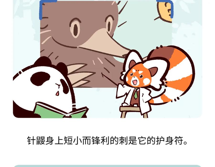 《胖达x胖达》第255话 第26页
