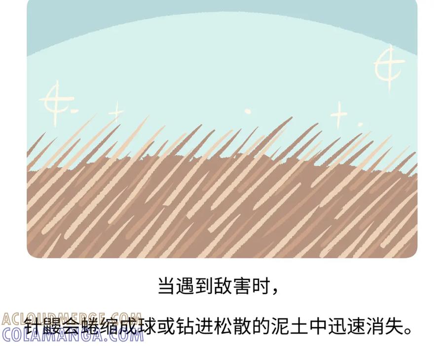 《胖达x胖达》第255话 第27页