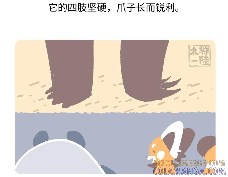 《胖达x胖达》第255话 第23页
