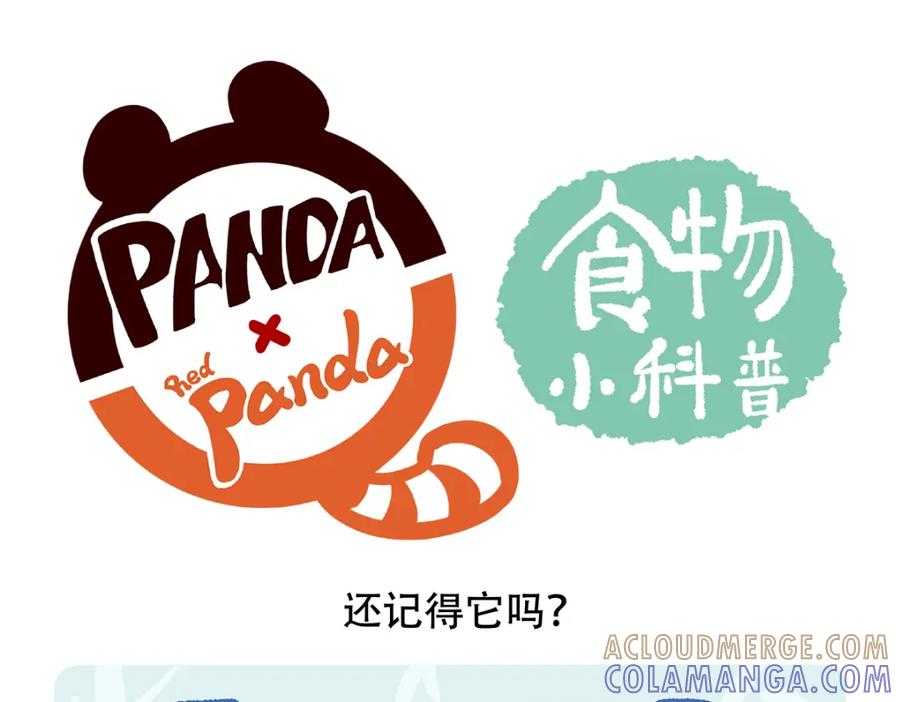 《胖达x胖达》第68话 第31页