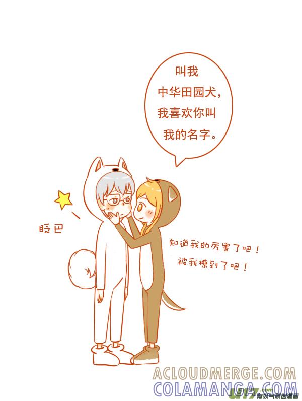 《全世界都在谈恋爱》田园犬 第5页
