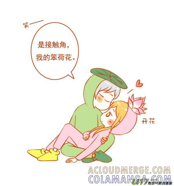 《全世界都在谈恋爱》荷花叶 第8页