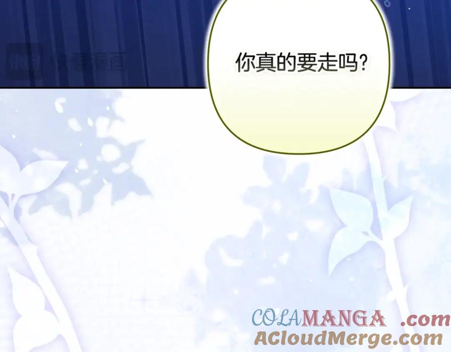《这个婚反正也要完蛋》第二季完结话 第33页