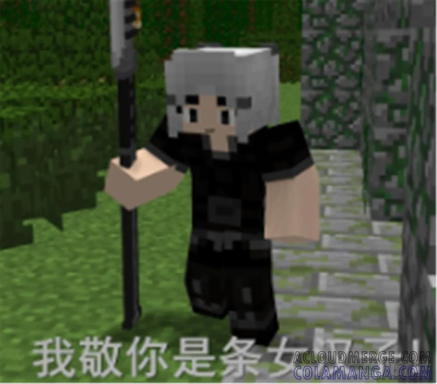 《我的世界：晨曦传记番外》谁家的表情包01 第9页