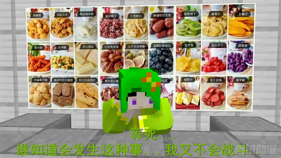 《我的世界：晨曦传记番外》饥饿游戏篇02 第94页