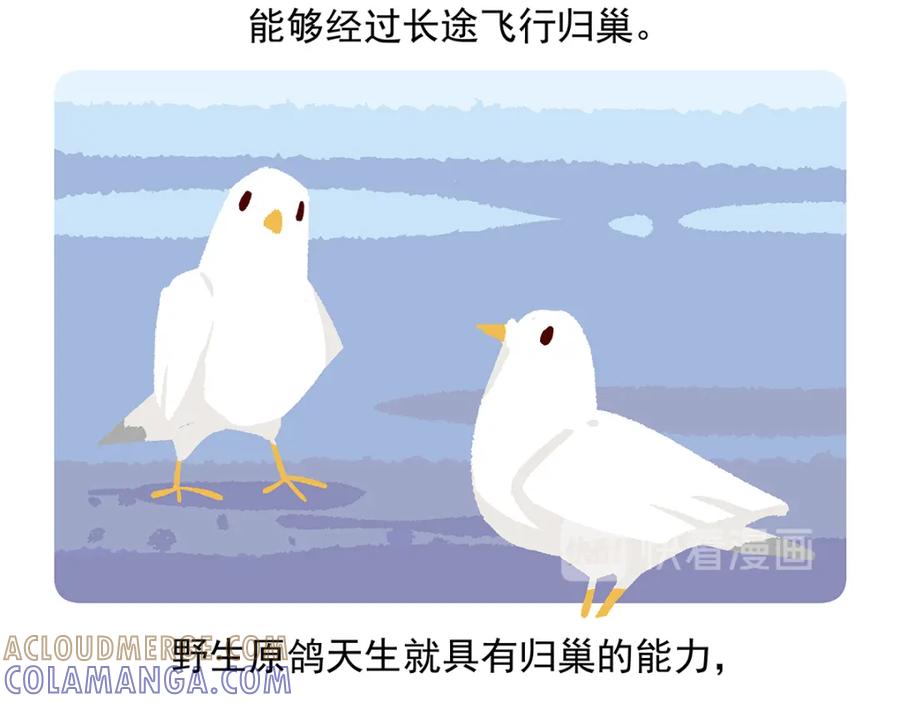 《胖达x胖达》第46话 第27页