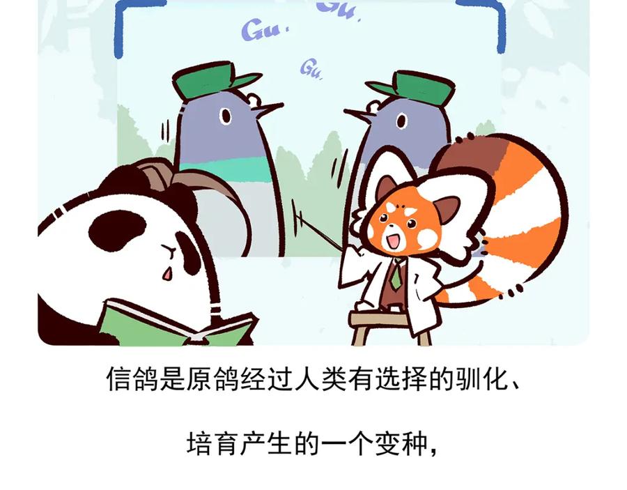 《胖达x胖达》第46话 第26页